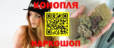 гидра Анжеро-Судженск