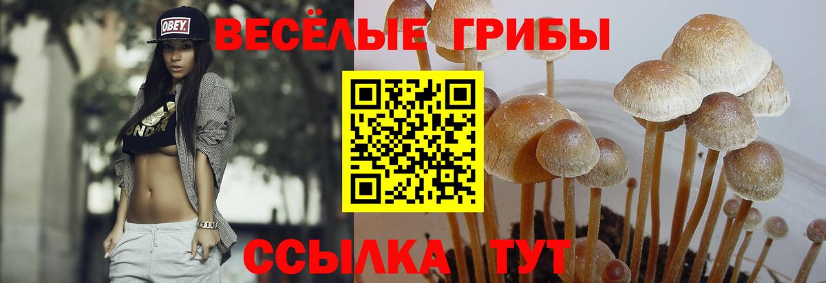 Меф МЯУ МЯУ кристаллы  Кокаин  Вход с VPN  Бор  ГАШ 